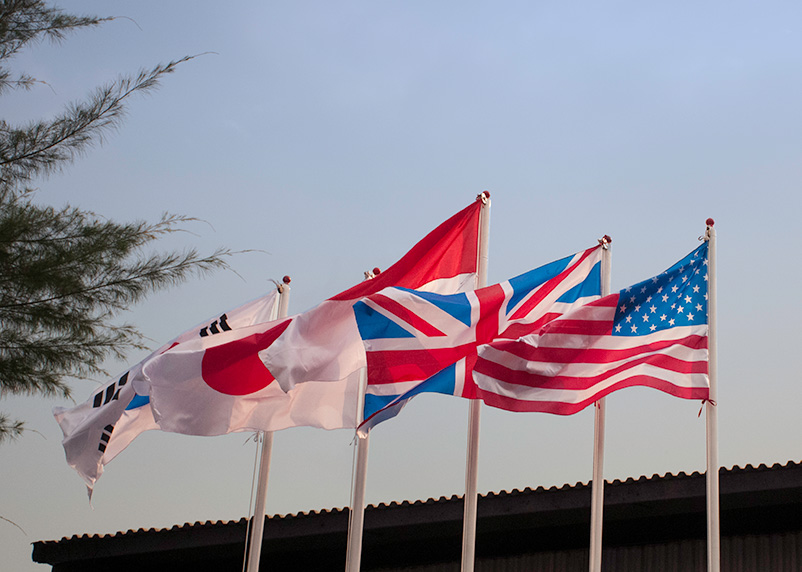 ENTEK - Global Flags ENTEK - Global Flags