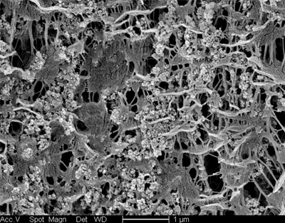 ENTEK Lead Acid LR SEM 2